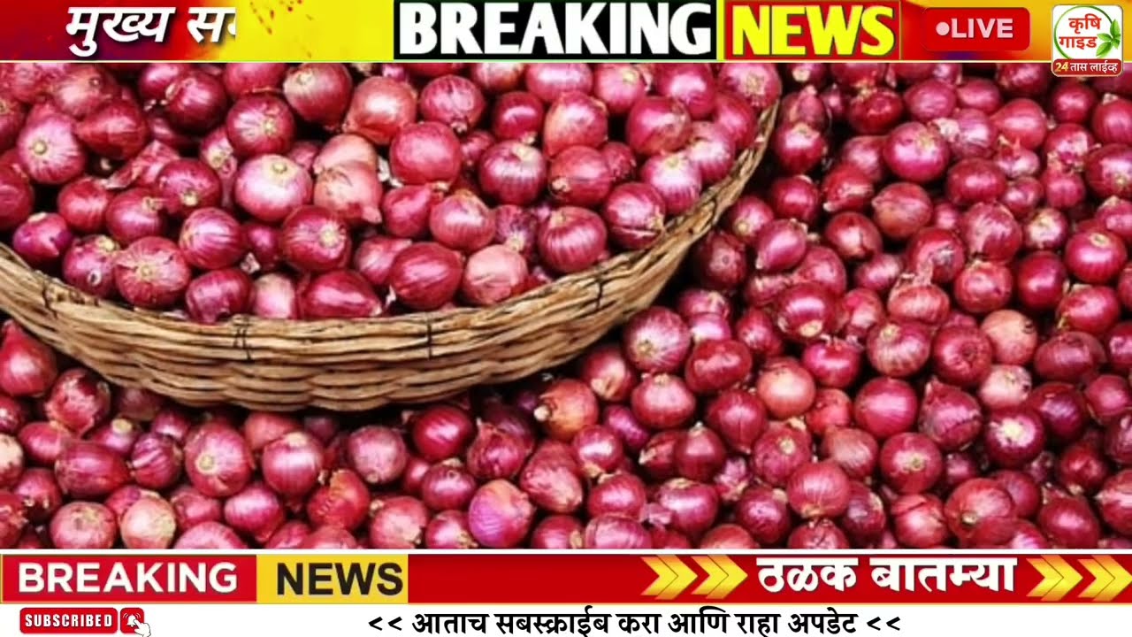 3 फेब्रुवारी शेतकऱ्यांच्या ठळक बातम्या l कर्जमाफी अपडेट l पिक विमा l अतिवृष्टी नुकसान भरपाई जमा
