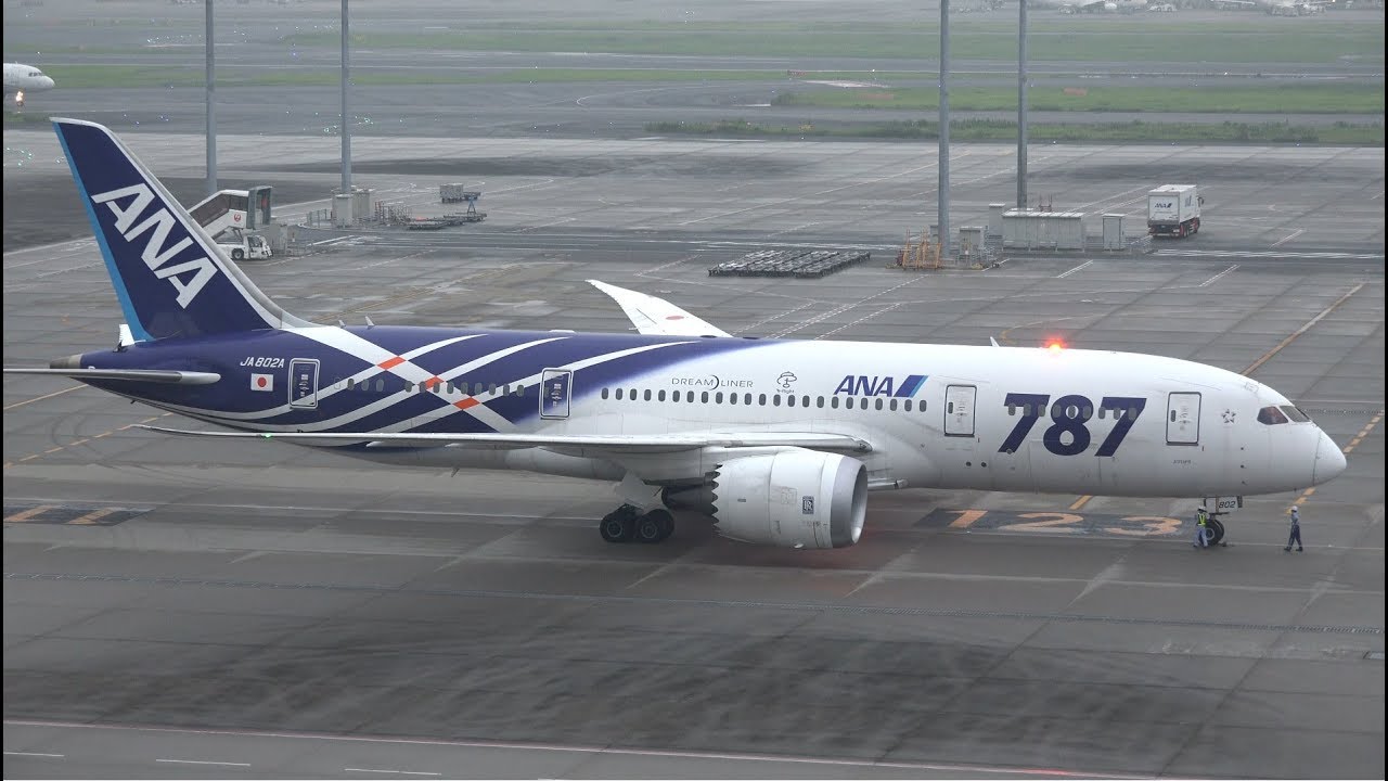 さよなら鯖塗装 ANA Boeing 787-8 JA802A Pushback [HND/RJTT]