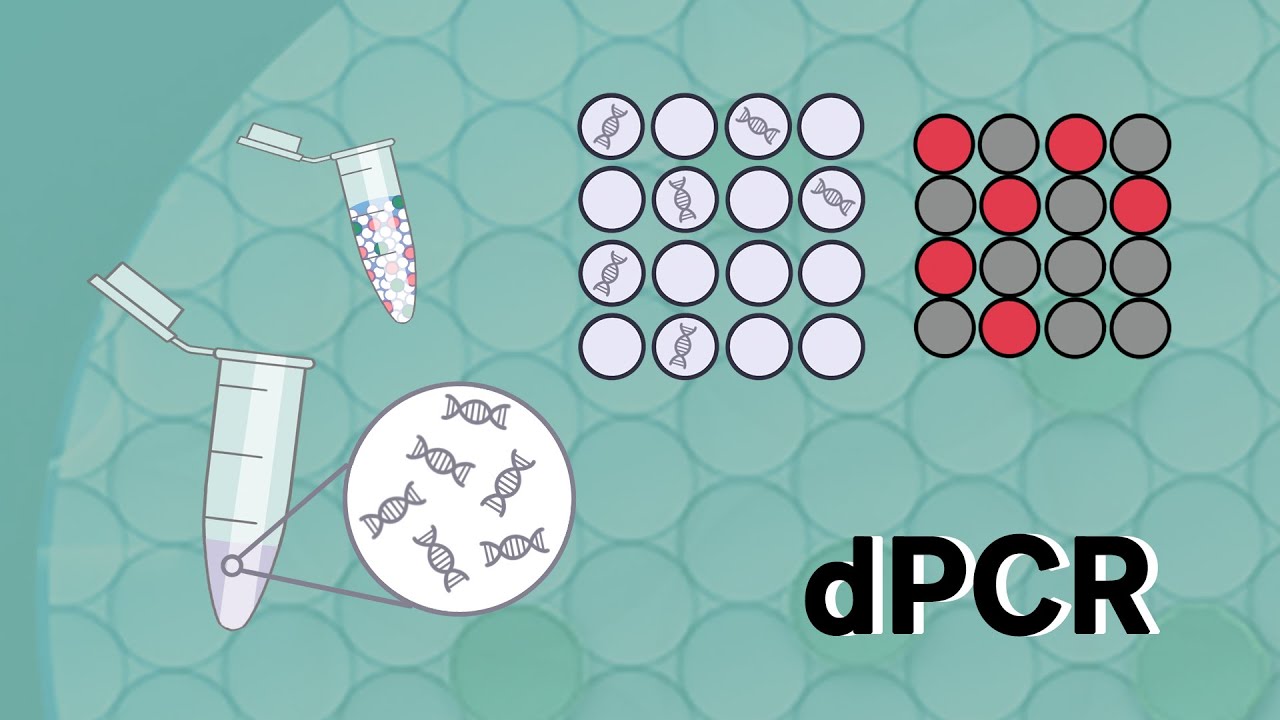 dPCR