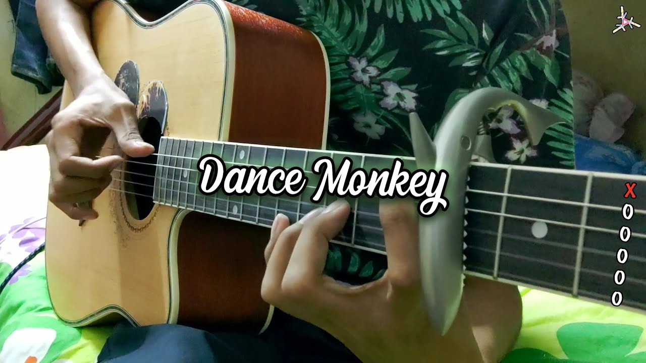 DANCE MONKEY - Tones and i Fingerstyle cover + drum | Easy chord + lyrics | Faiz fezz 🇲🇾