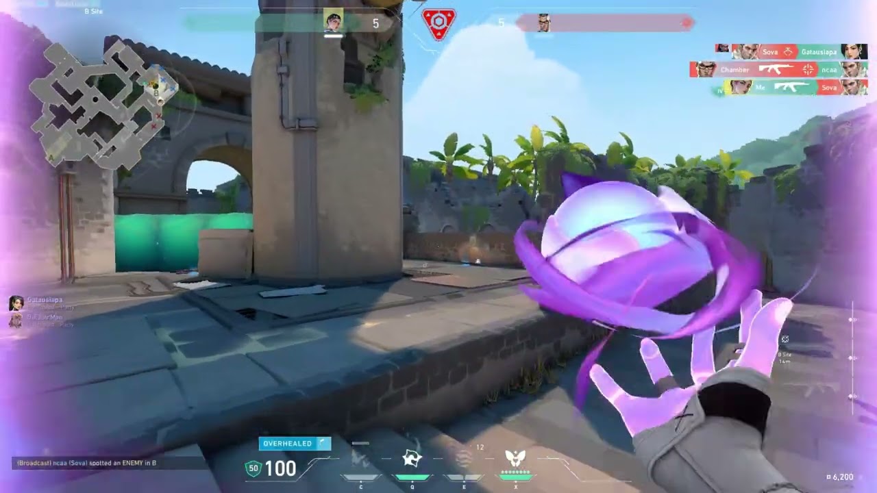 HIGH SENS AIM