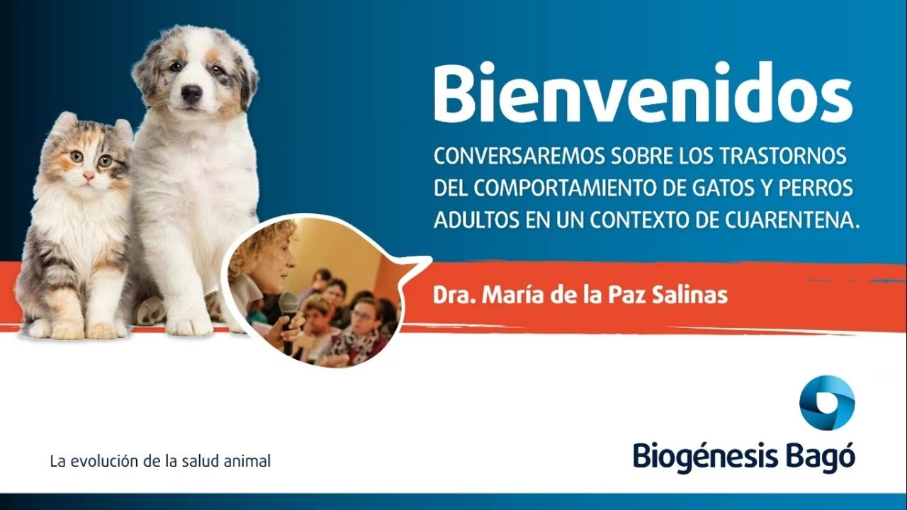 Webinar | Trastornos en perros y gatos | Biogénesis Bagó