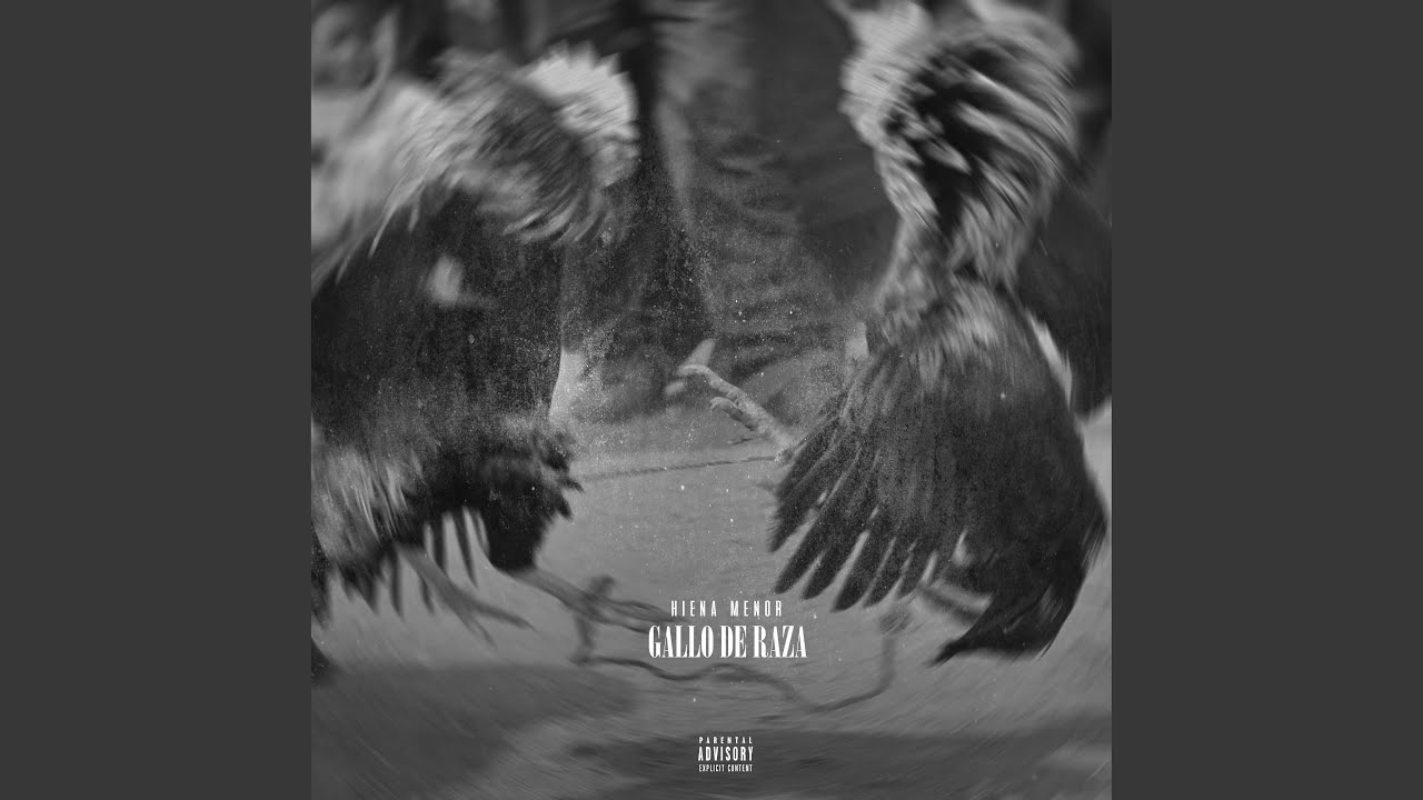 Gallo de Raza (feat. HIENA MENOR)
