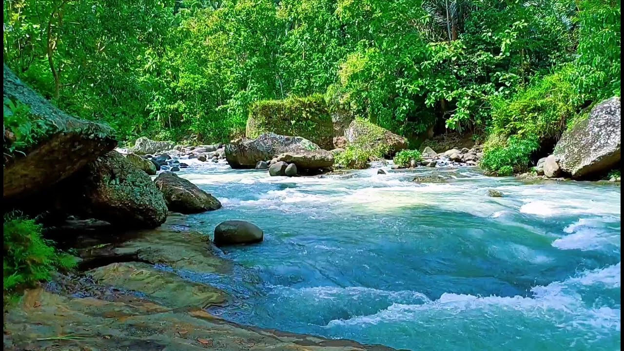 Peaceful River Sounds for Deep Relaxation  Calming Water Ambience.