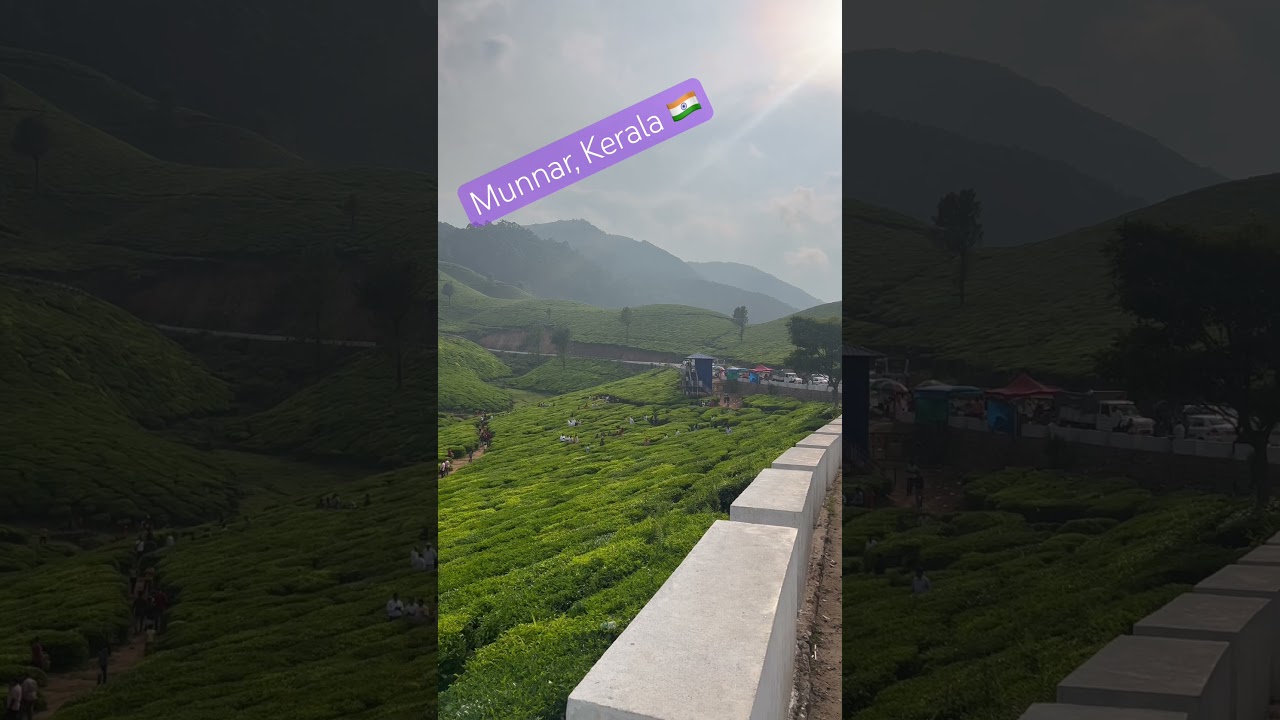 Tea Estates, Munnar, Kerala, India 🇮🇳 #visitindia #munnar #kerala