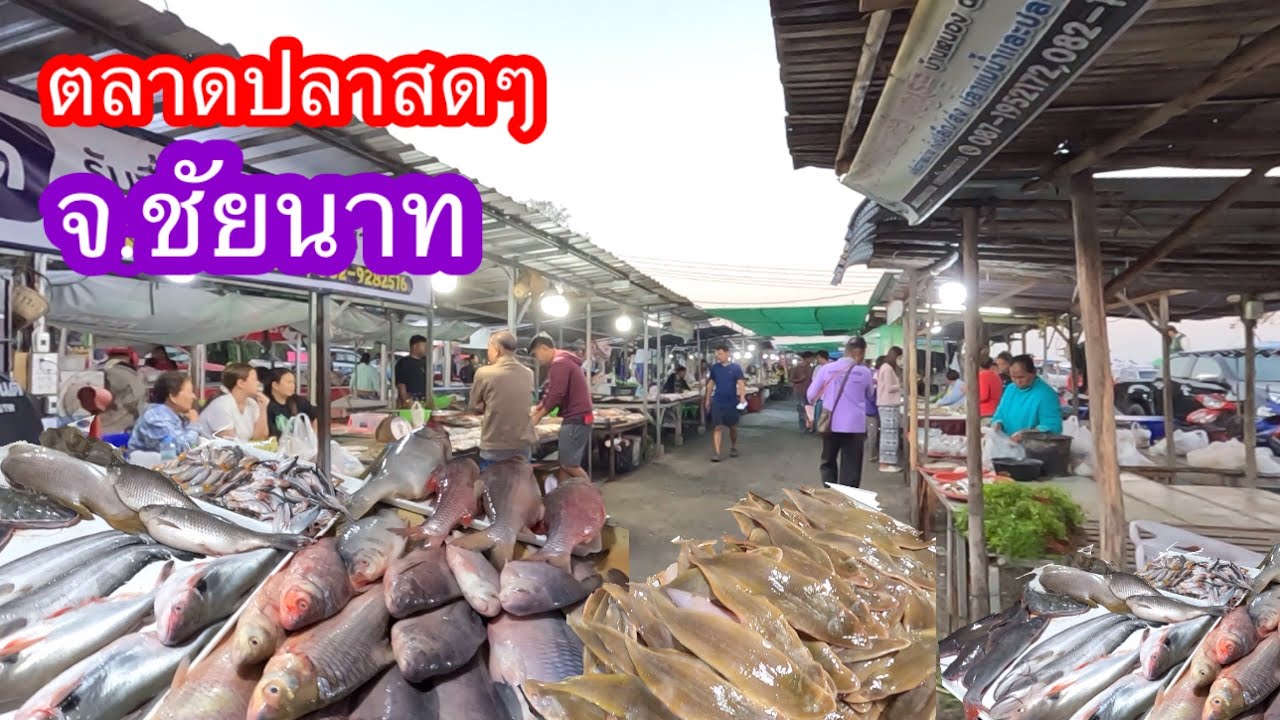 ตลาดปลาสดๆ จ.ชัยนาท