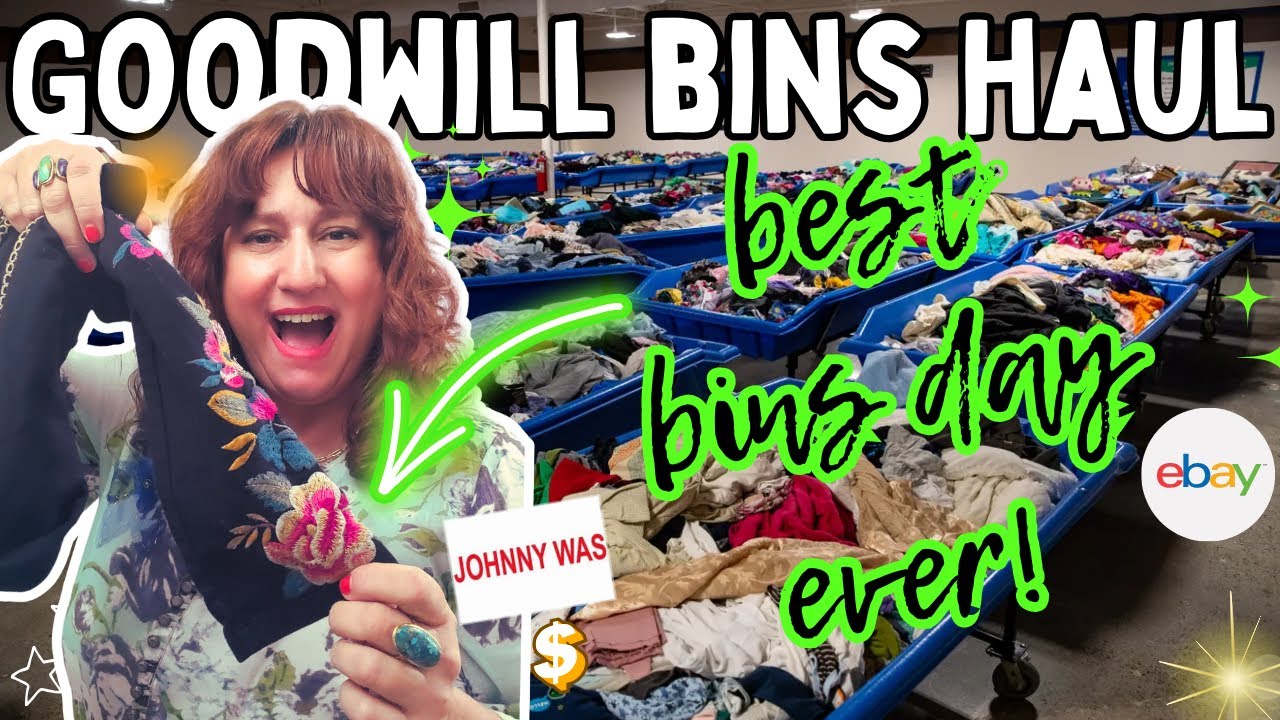 Best Bins Day Ever BOLO BRANDS + Meeting Viewers GOODWILL OUTLET BINS Thrift HAUL TO RESELL on Ebay