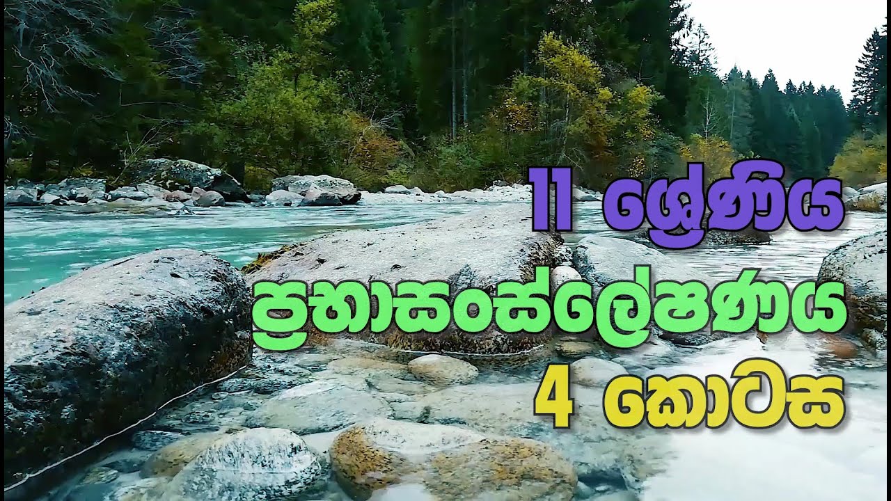 O/L Science Sinhala | Grade 11 Science Unit 02 Part 4 | 11 වසර විද්‍යාව 02 පාඩම | ප්‍රභාසංස්ලේෂණය