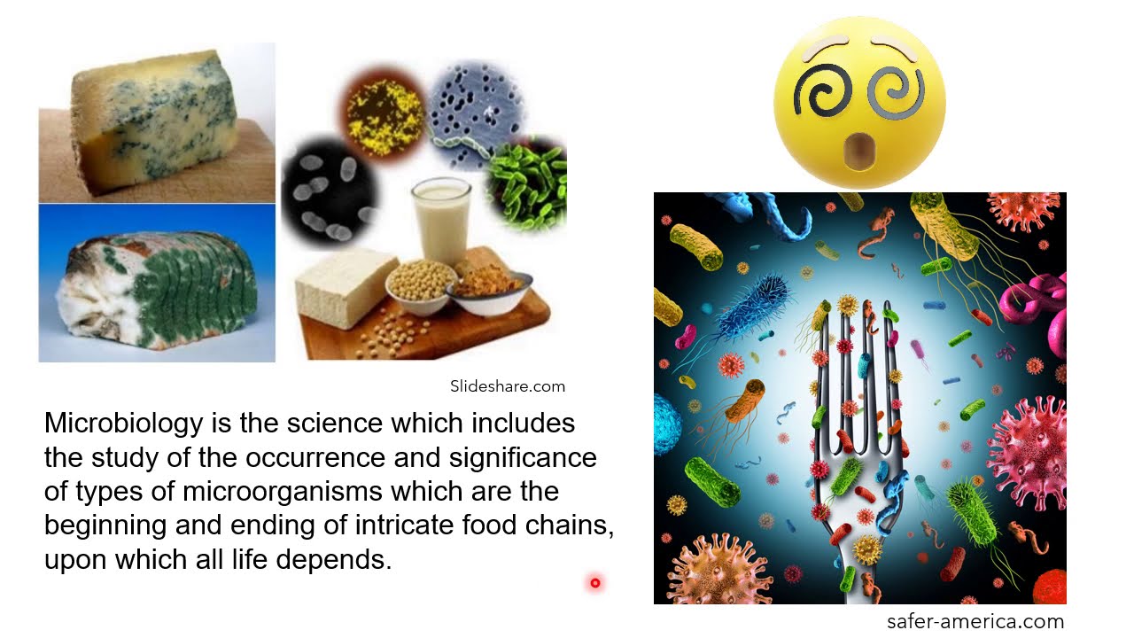 Microorganisms in food | Microbes in food | Applications of microbes in food industry
