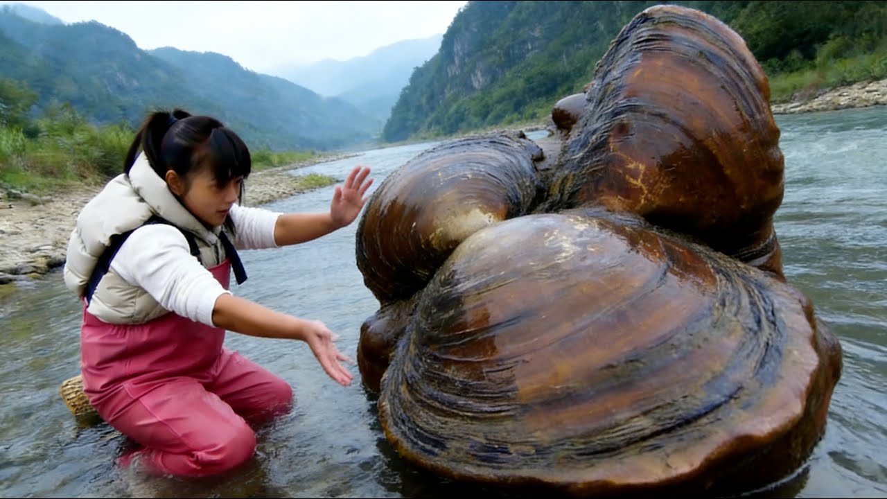 A deformed golden clam from a thousand years ago has opened up a rare and super large night pearl