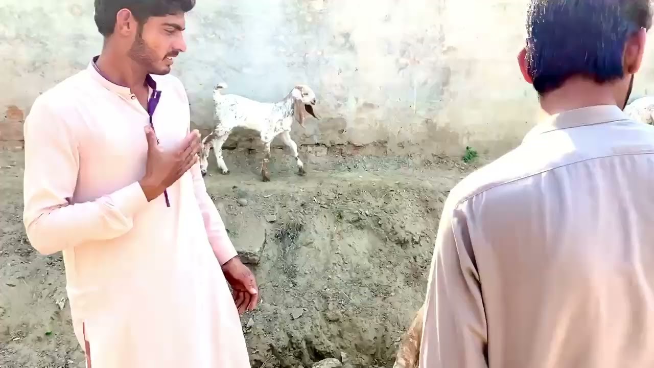 Thuthianwali village ke update 😂❤️🙈