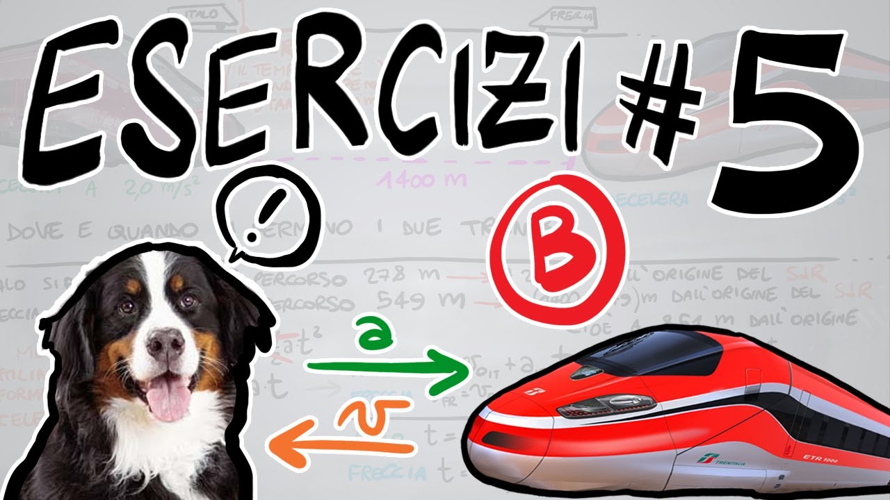 FISICA Esercizi #5 B - Moto Rettilineo Uniforme e Accelerato, Moto Verticale