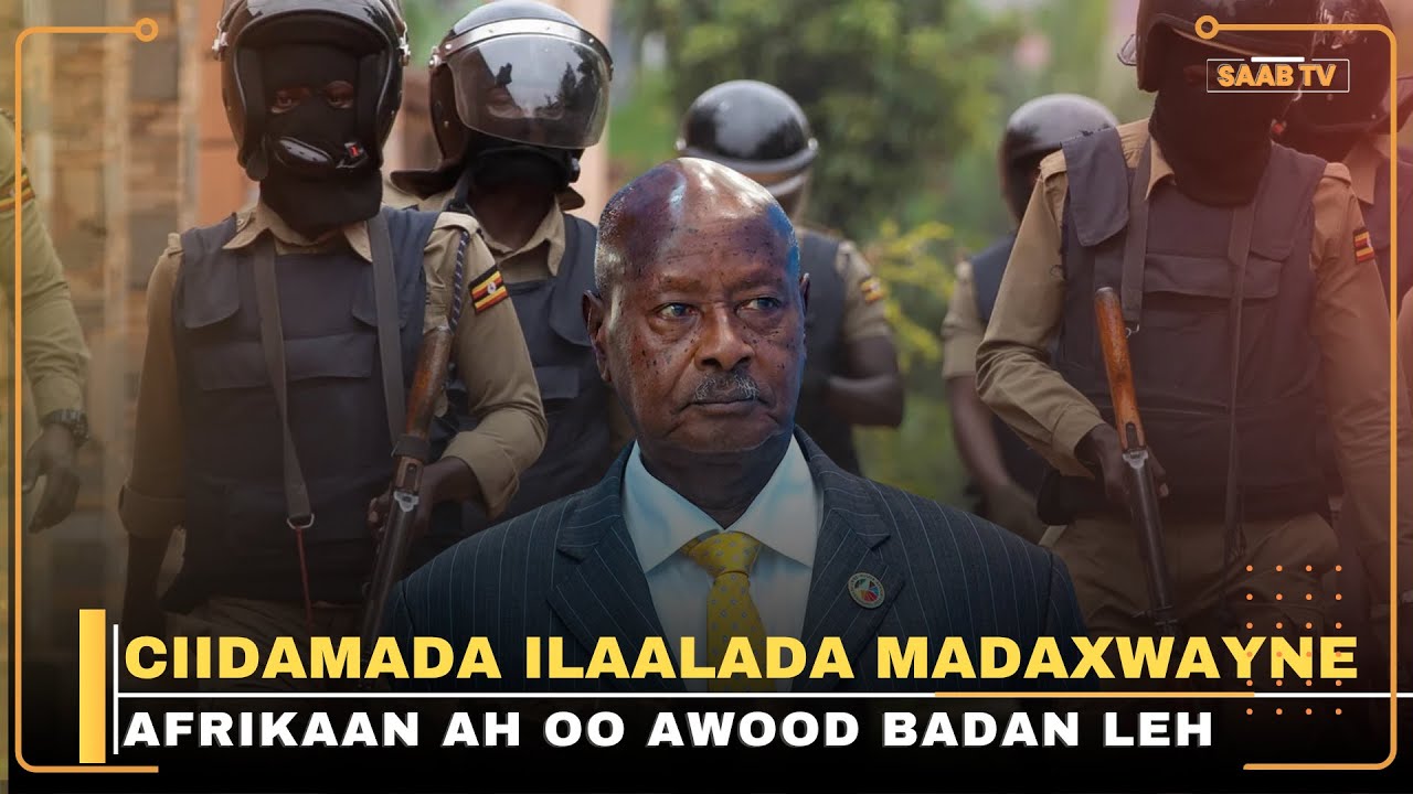 Yaa tababaray ciidamada illaalada ah ee cabsida badan?