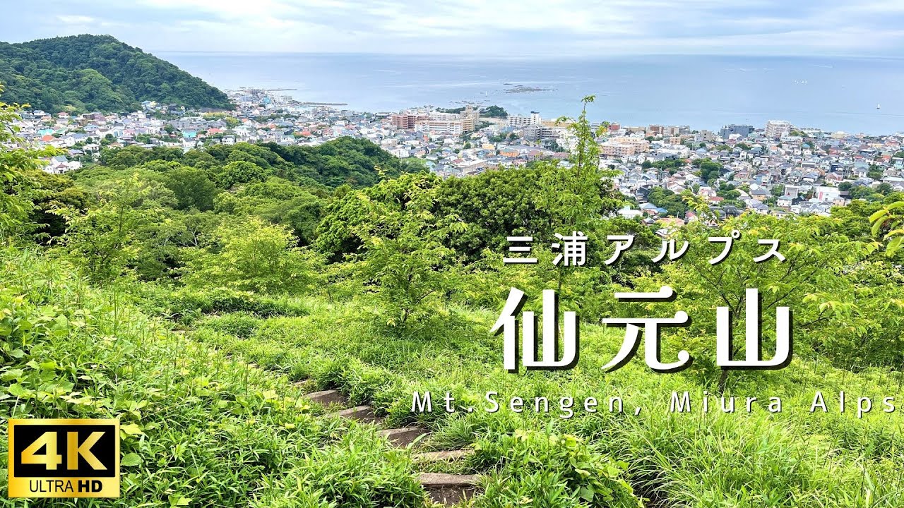 【4K登山体験】仙元山ハイキングコース | 神奈川・葉山 | Mt. Sengen・Japan Virtual Hike | 2025年6月