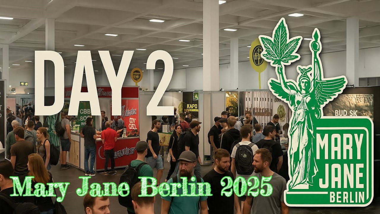Day 2 Mary Jane Berlin walkthrough | Part 1