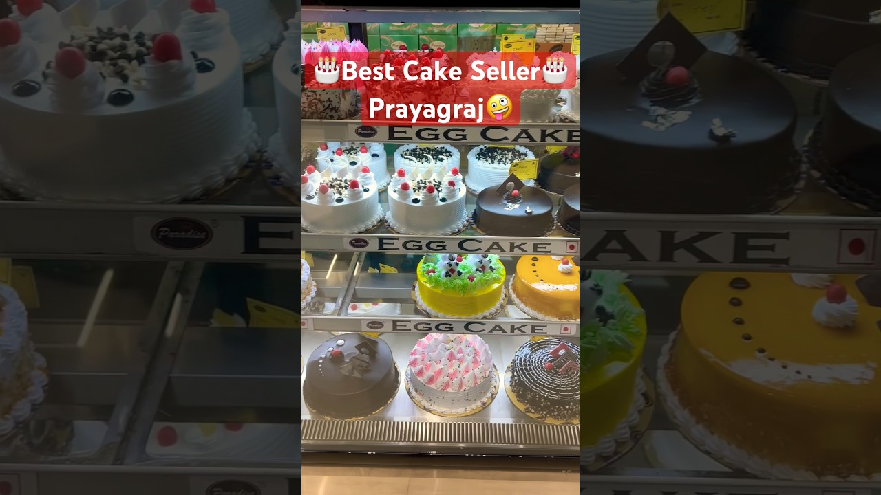 😋🎂 Paradise 🎂Prayagraj 😊Best Cake Seller🧁#viral #shorts #youtubeshorts #paradise