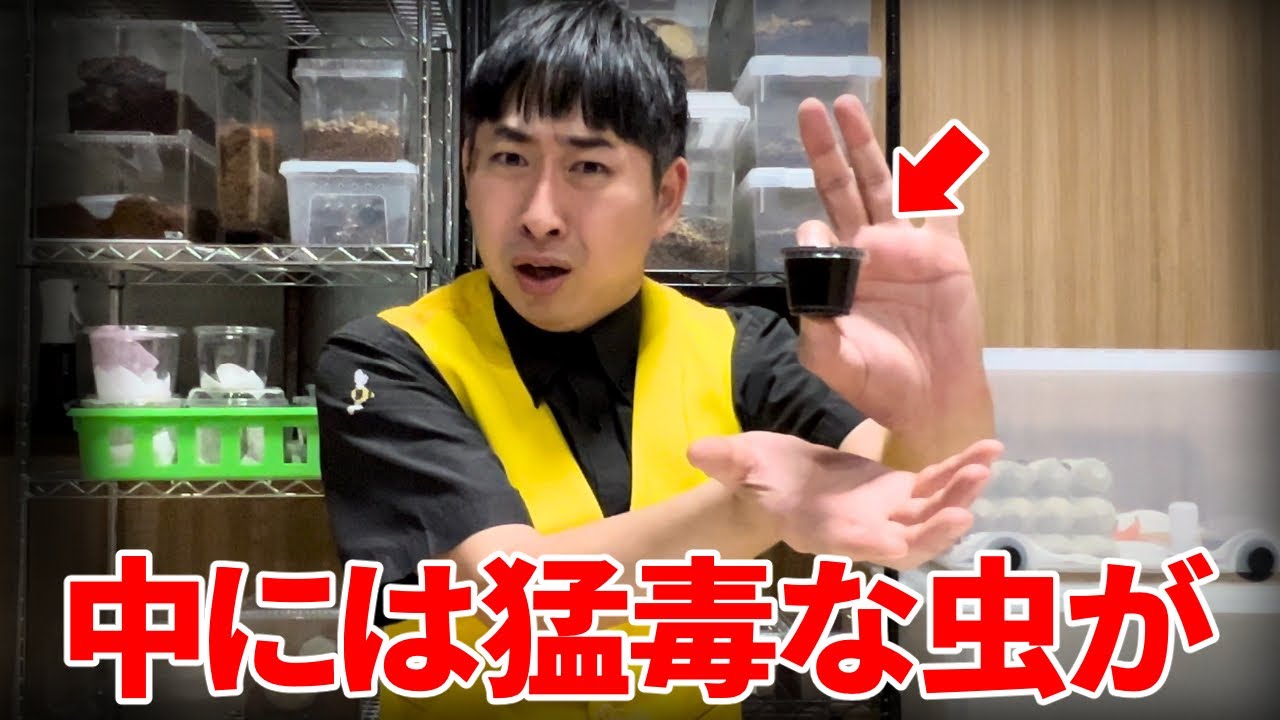 生配信で見せていた容器の中身を公開します