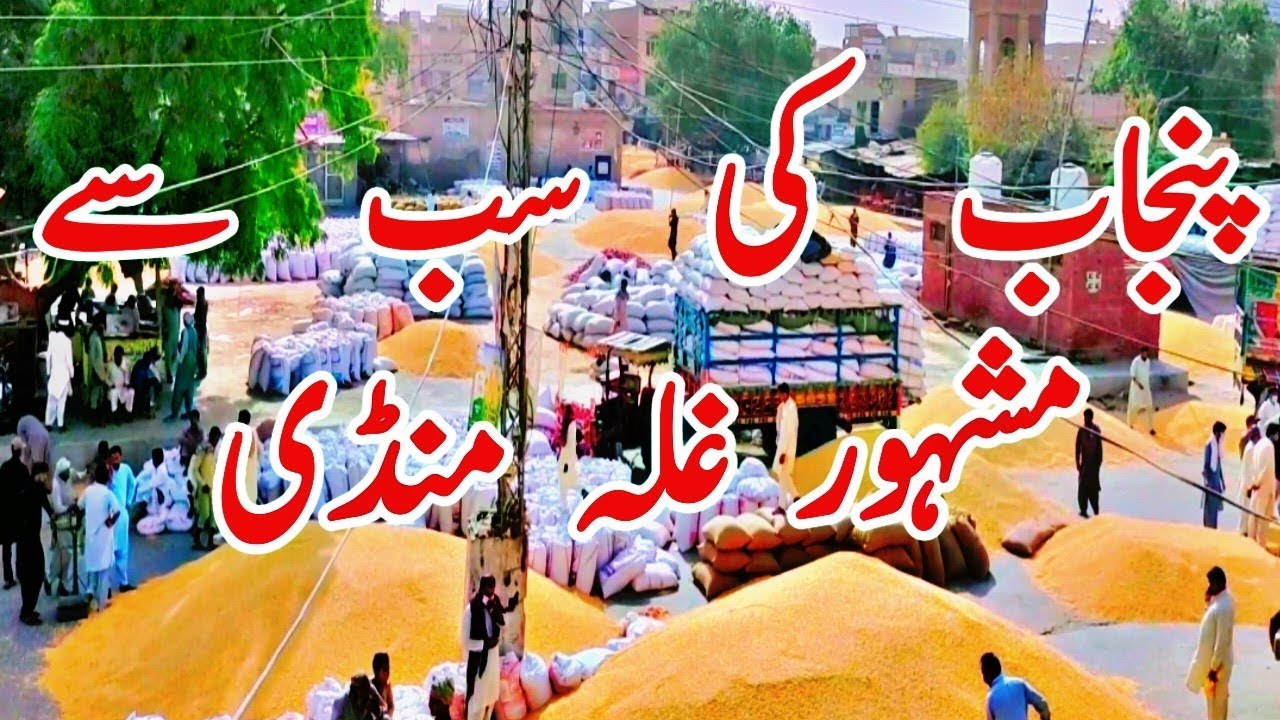 Visit of Famous Gala Mandi of Punjab Pakistan || Grain Market || beauty of gala mandi || Gala mandi