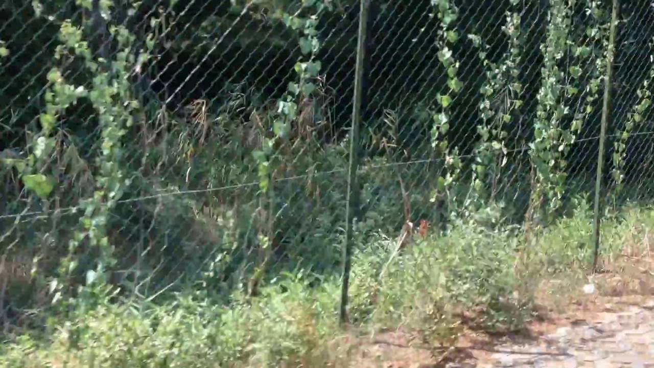 Vasco fa Footing nella Riserva Naturale a Castellaneta Marina