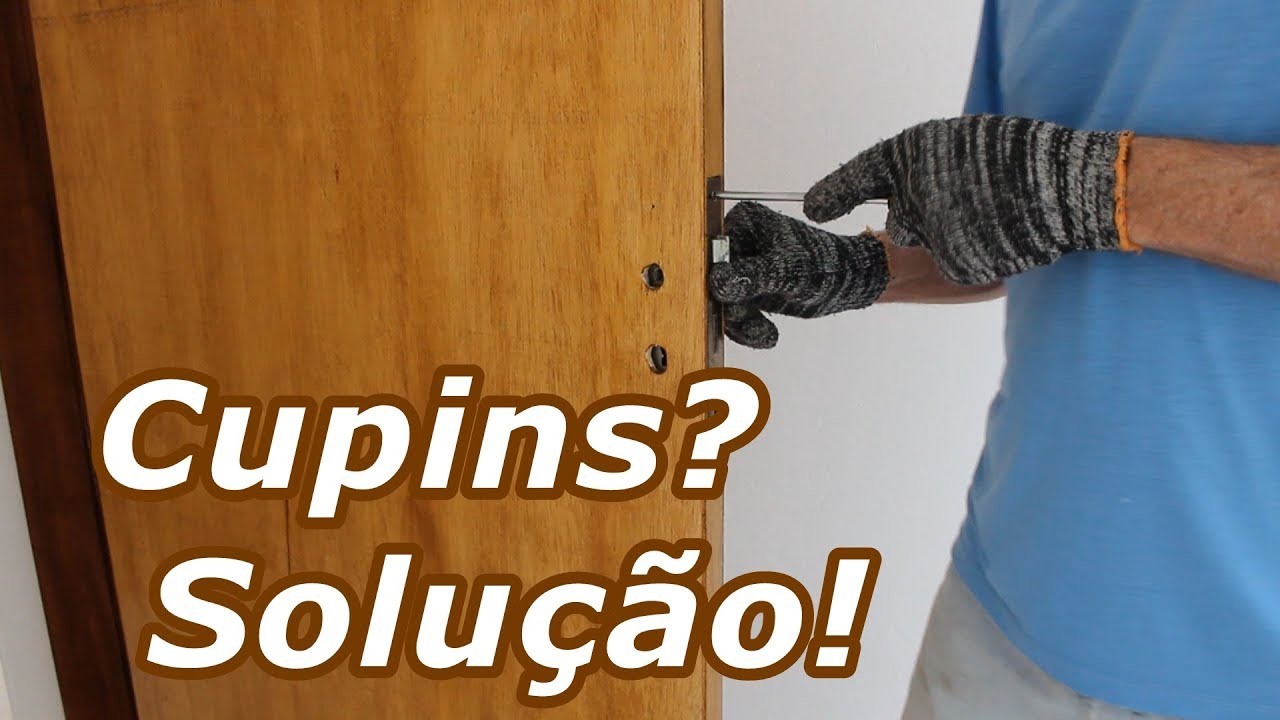 Cupins na Porta? Aprenda a Evitar