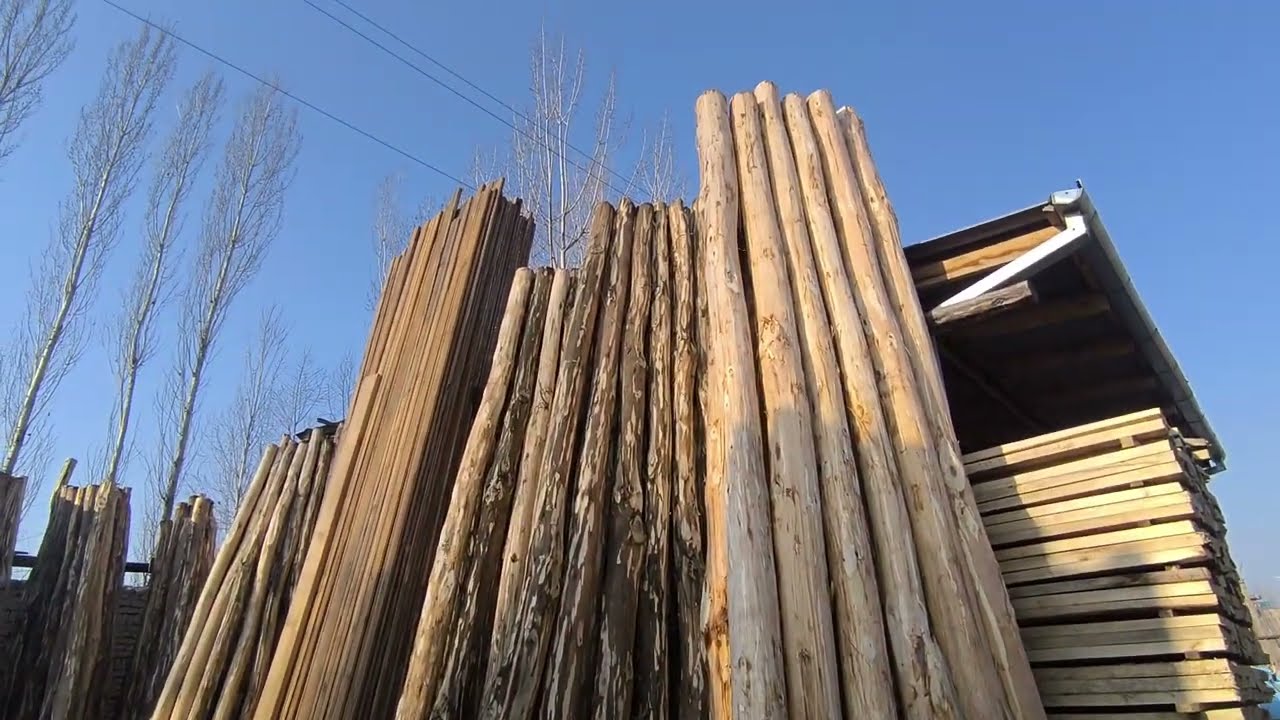 Terak narxlari 2026 yil