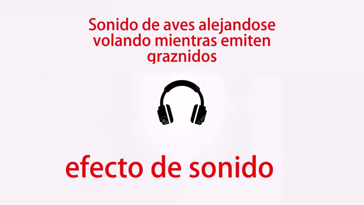 Sonido de Aves alejandose mientras emiten graznidos   efecto de sonido