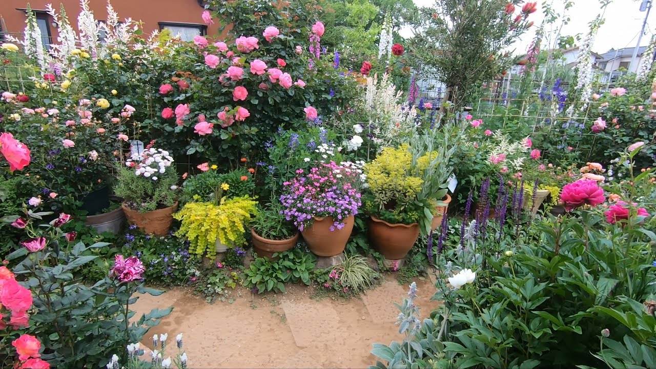 2021年 rose garden　バラと草花
