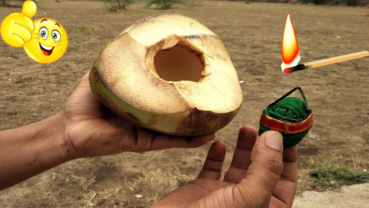 Coconut Vs Sutli Experiment | Coconut Vs Sutli  || Mr Puli