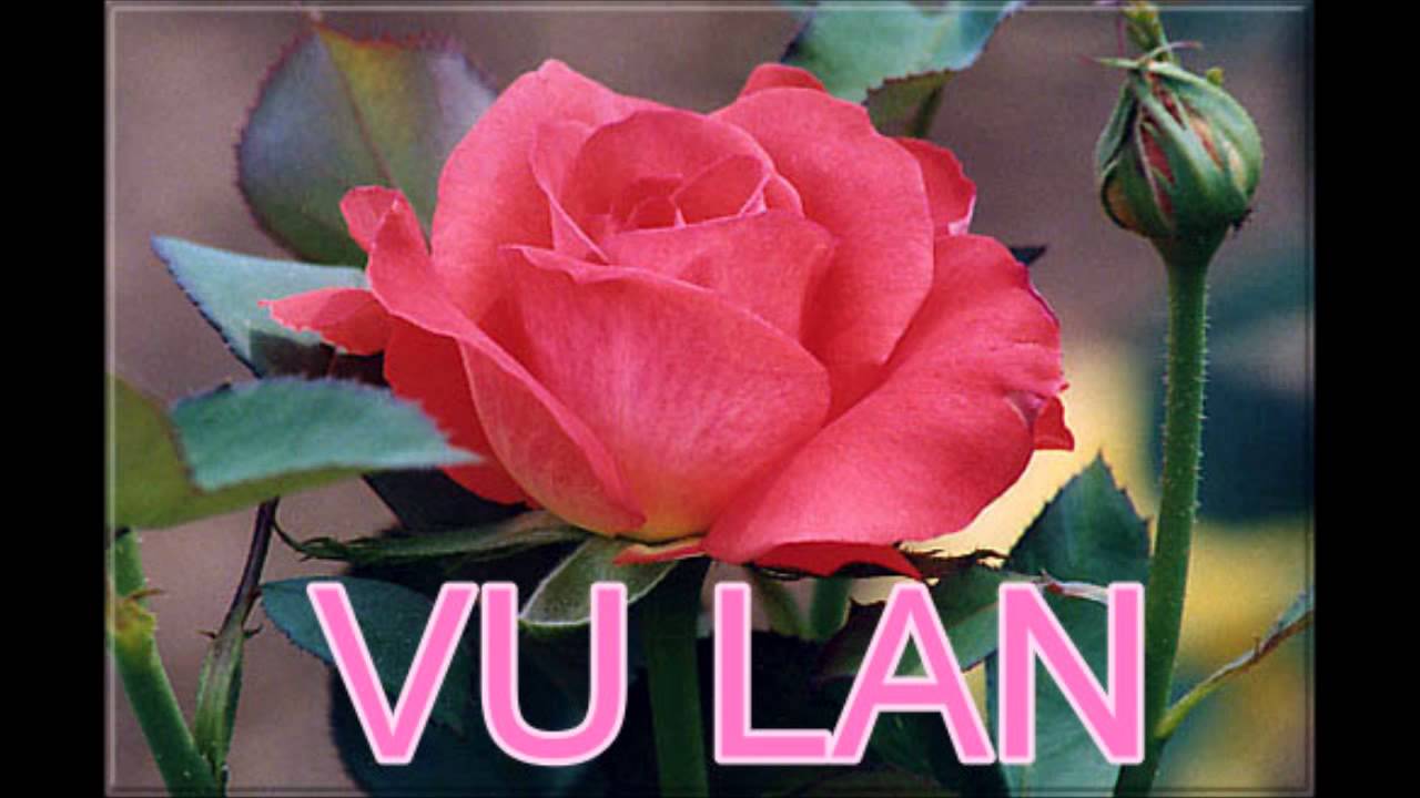 Dang Hoa - Thuy Duong