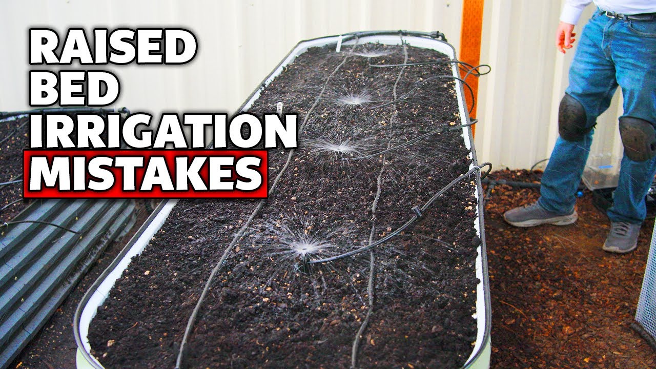 5 Mistakes to Avoid with Raised Bed Drip Irrigation