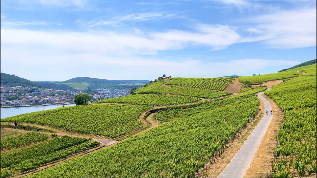 Day trip to R&uuml;desheim am Rhein - Cable Car - 2022