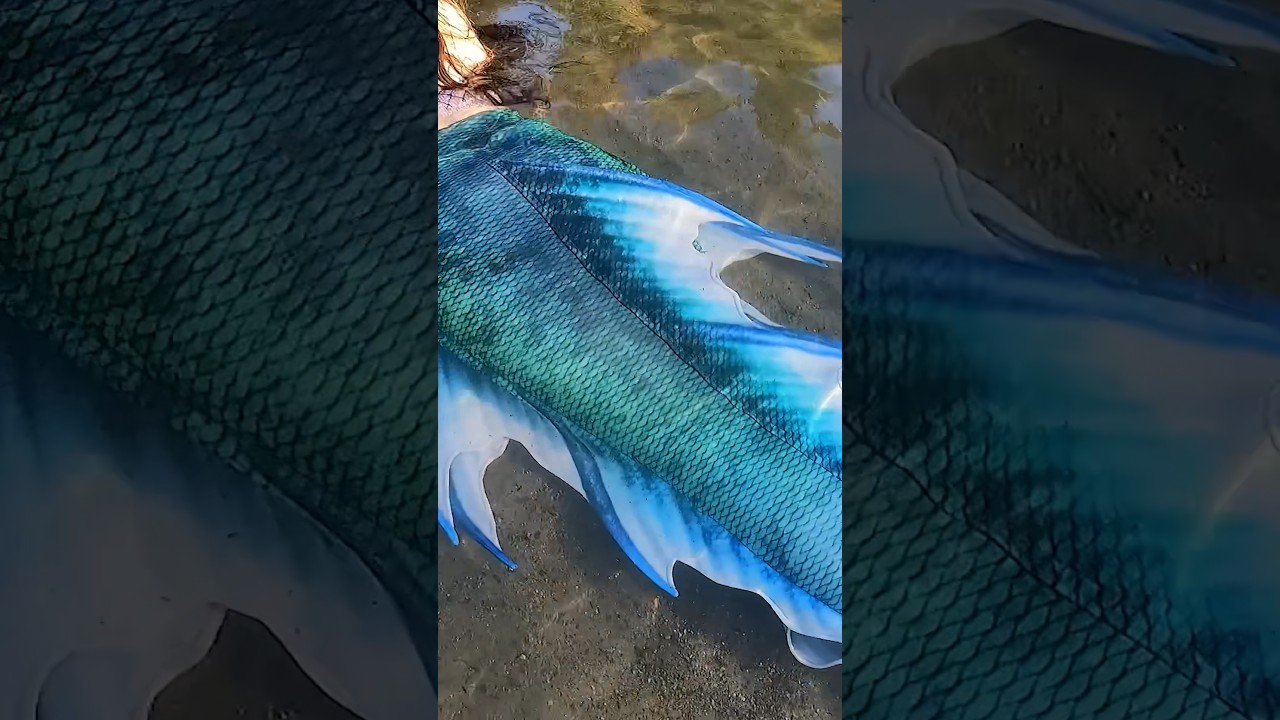 A Close Look at a Real Mermaid Tail #mermaid #realmermaid #imadethis