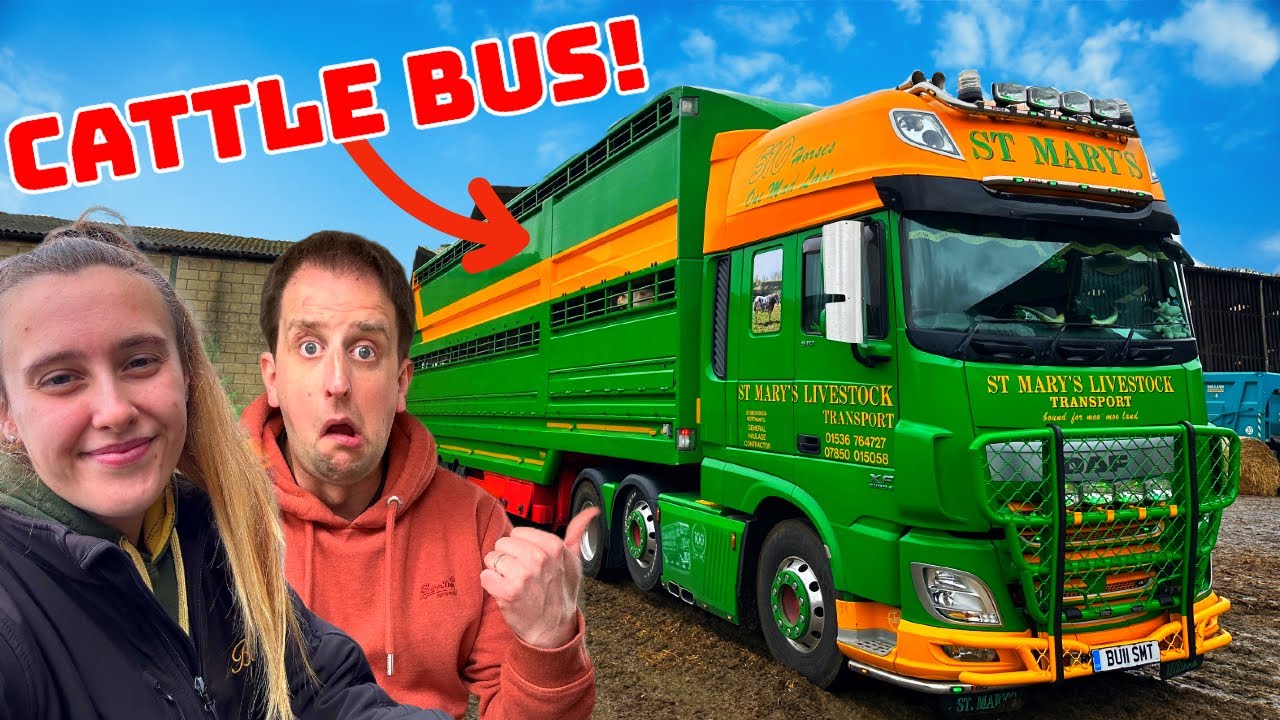 ПЕРВЫЙ ДЕНЬ Перевозки скота | Это не для меня!! | #truckertim