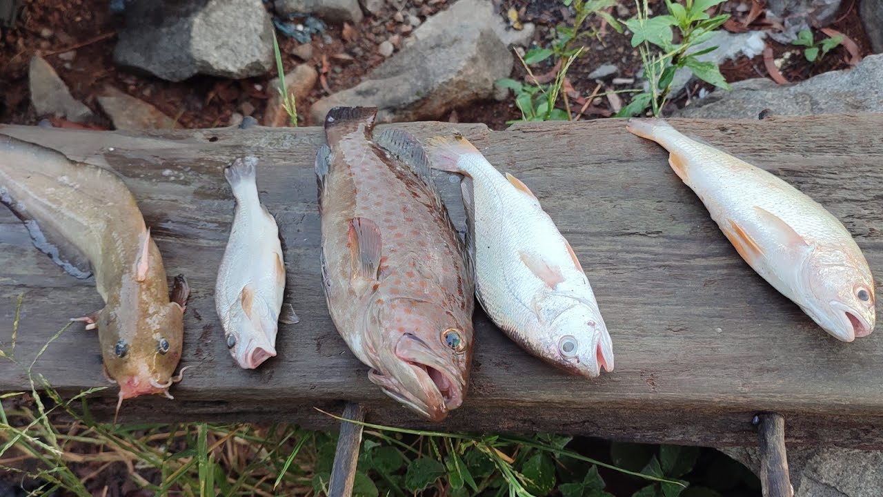 Short Trip Mancing Di Tembok Pemecah Ombak Tawau... | Mancing Atas Boat