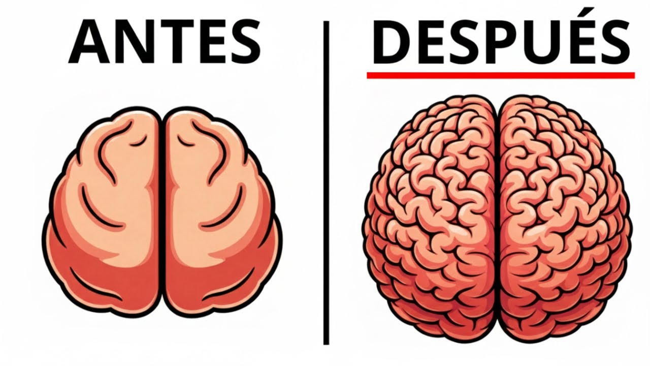 El método PROHIBIDO para pensar rápido y razonar mejor