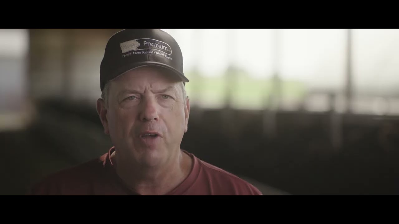 Iowa Premium Sustainable Beef | Agriculture Branding Campaign