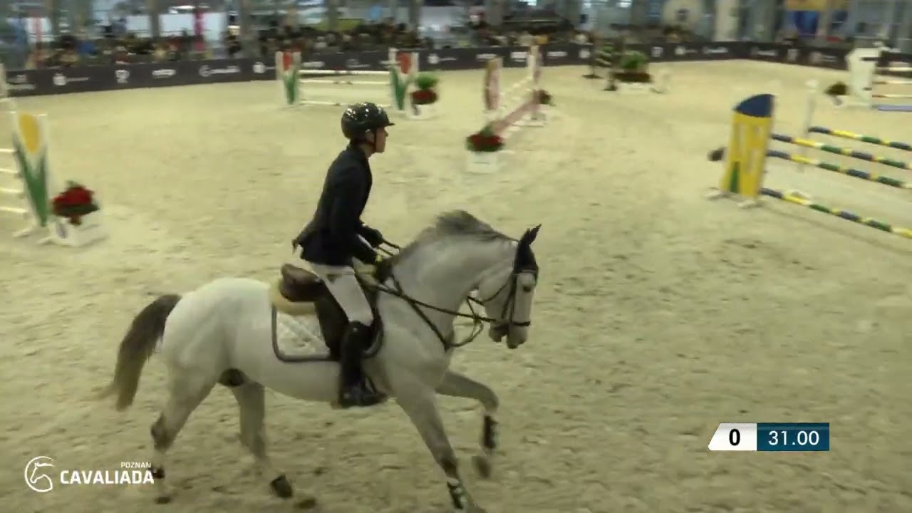 CAVALIADA Poznań 2022: Angelos Touloupis, KANTHAGO DE REVEL, Konkurs CSIYH CAVALIADA YOUNGSTER TOUR