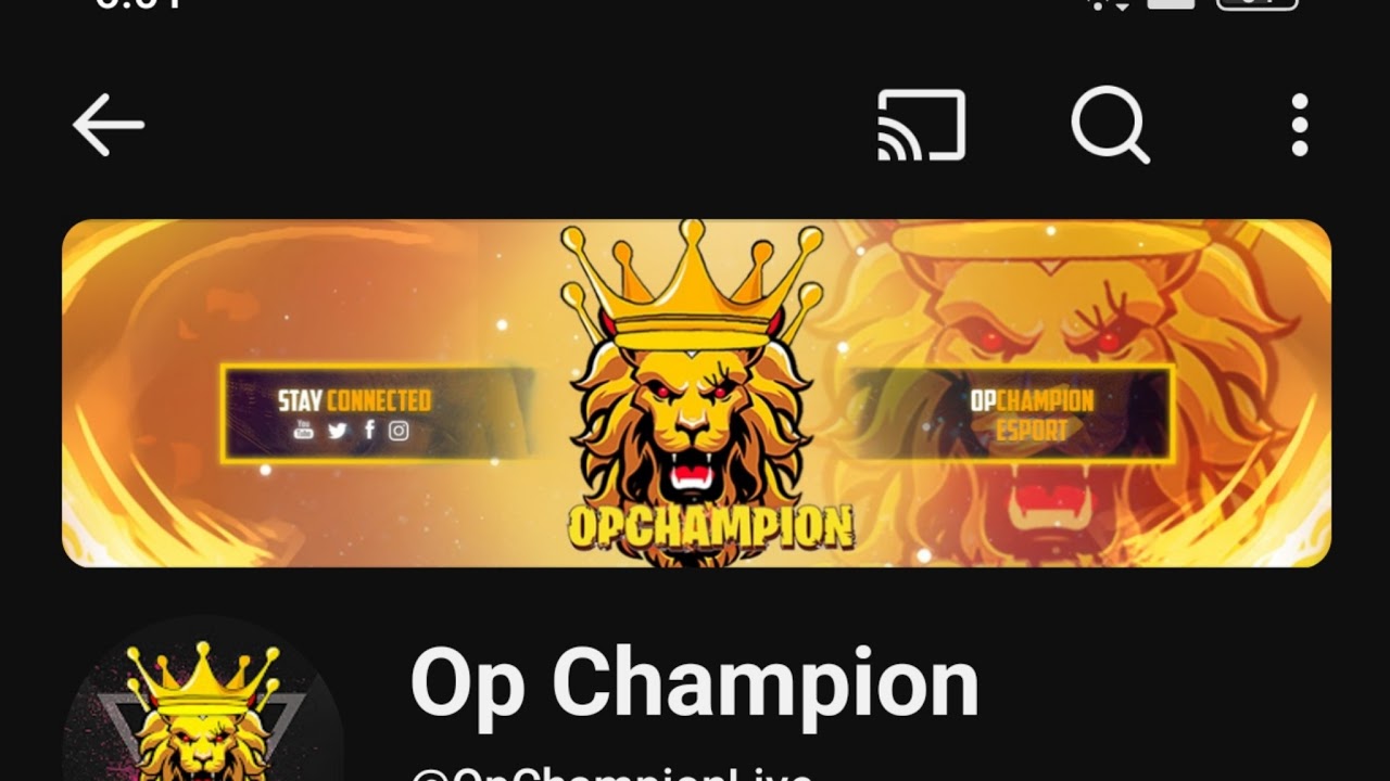 PUBG LIVE Championc7