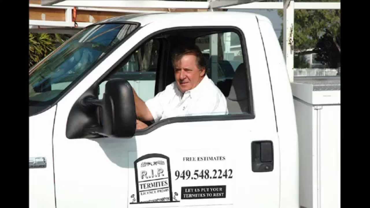 Termite Control Costa Mesa | 949-548-2242 | Huntington Beach | Newport Beach | Balboa Island