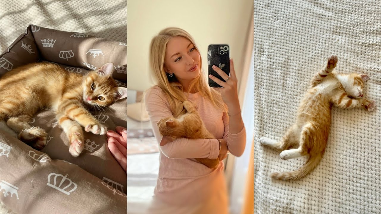 У МЕНЯ ПОЯВИЛСЯ КОТЁНОК🧡 МОЙ МЁДИК | ПОДГОТОВКА | ПЕРВОЕ ЗНАКОМСТВО | КАК Я ЕГО НАШЛА