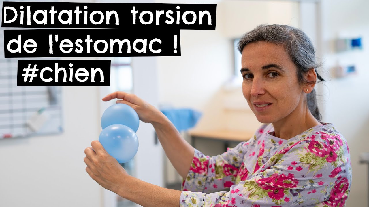 Dilatation torsion de l'estomac !