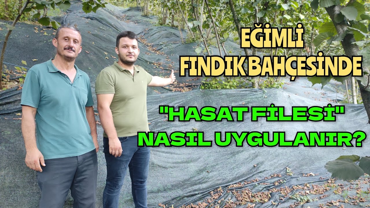 FINDIK TOPLAMA FİLESİ ile Eğimli Arazide Hasat Nasıl Yapılır?