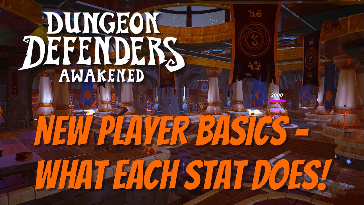 DDA Basics! What Each Stat Does For You!