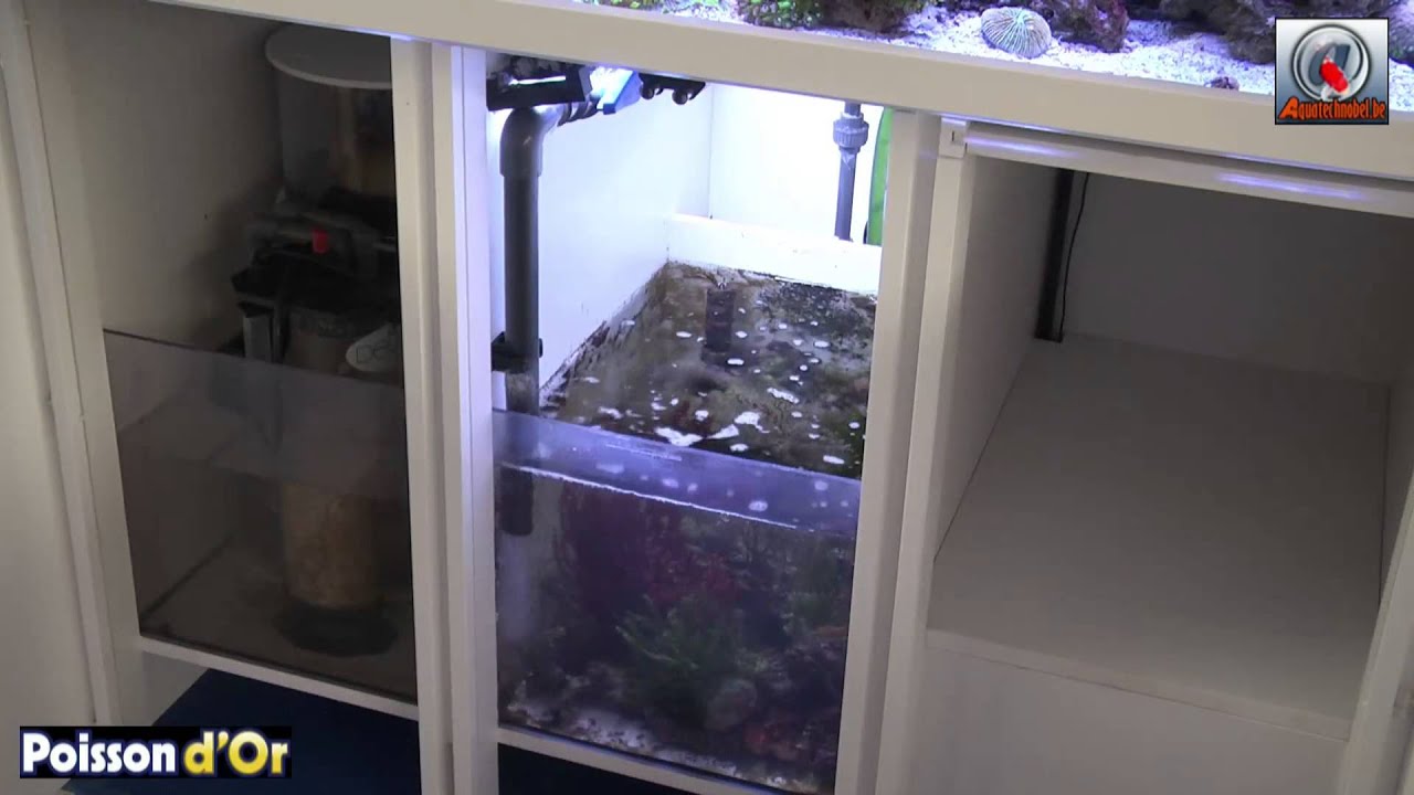 AquaVideoMag 23 Aquarium récifal