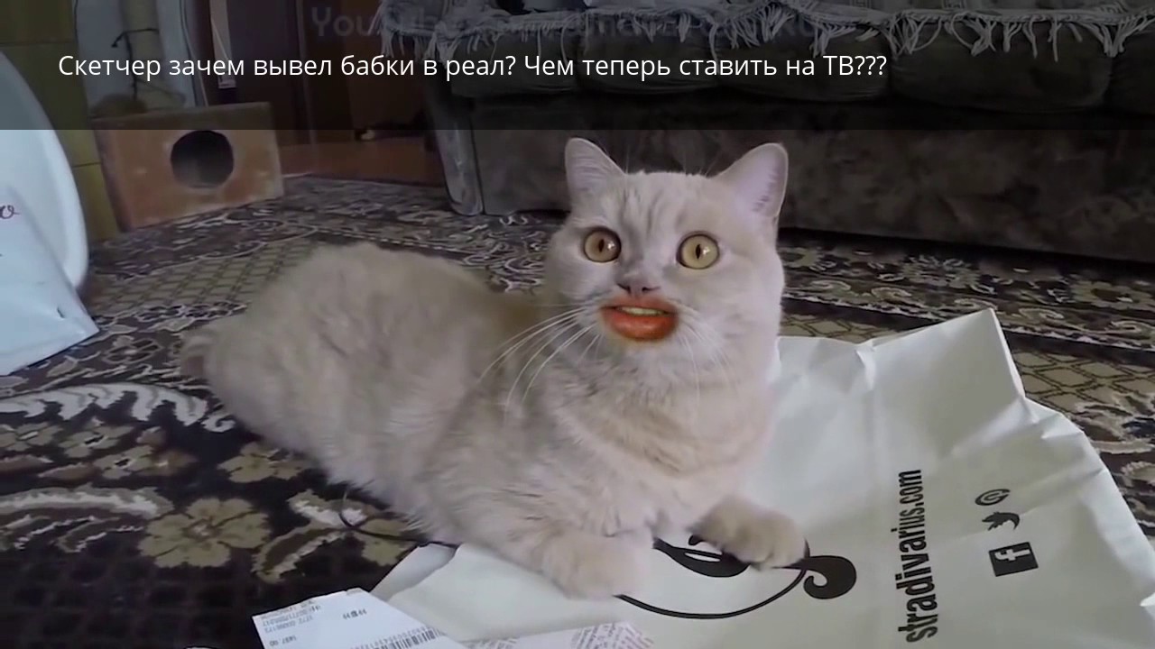 Хантам нечем ставить на ТВ