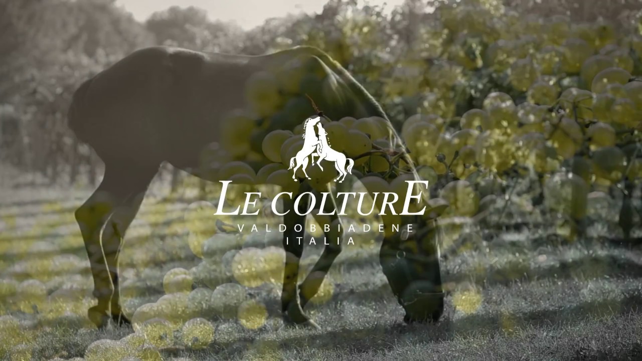 Le Colture  Prosecco Valdobbiadene Italia