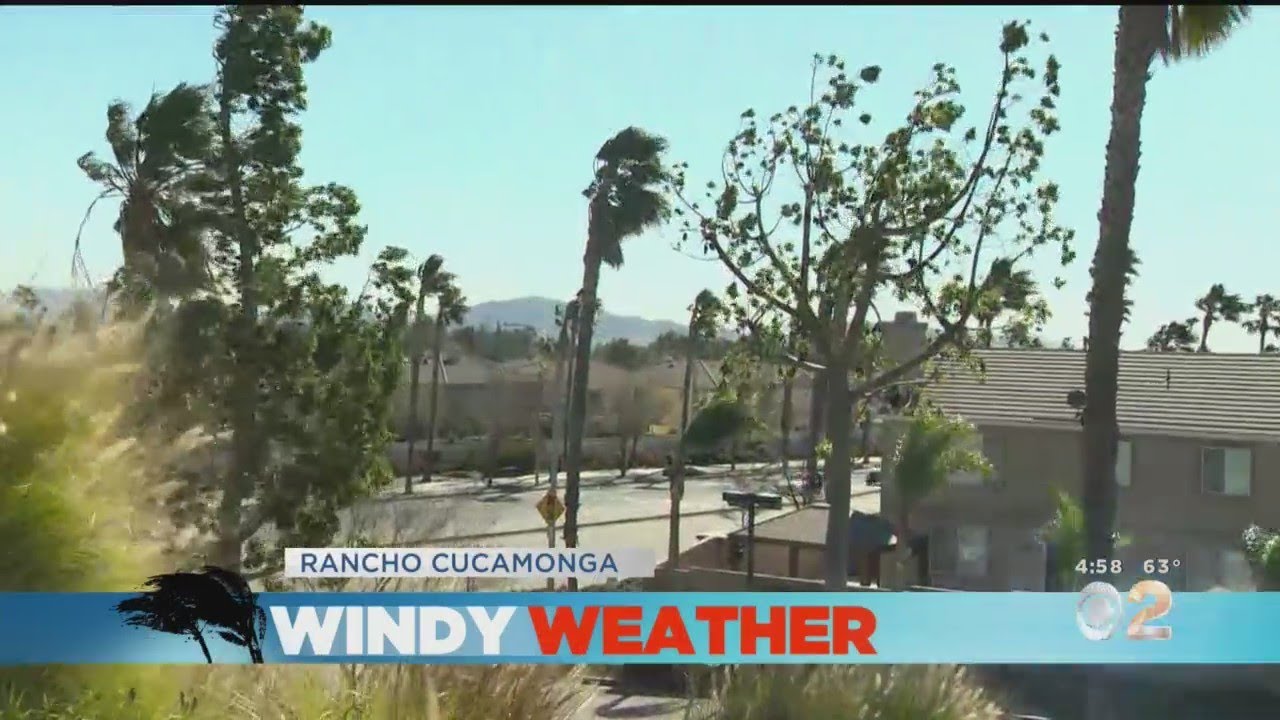 Santa Ana Winds Topple Trees, Down Power Lines At 2 Schools In Riverside