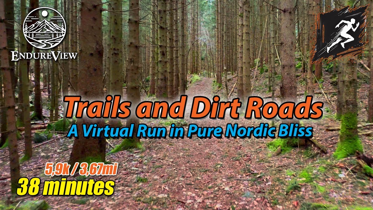 Virtual Run through Trails and Dirt Roads in Tingstveit Forest – A Scenic Run in Nature 🌲🏃‍♂️