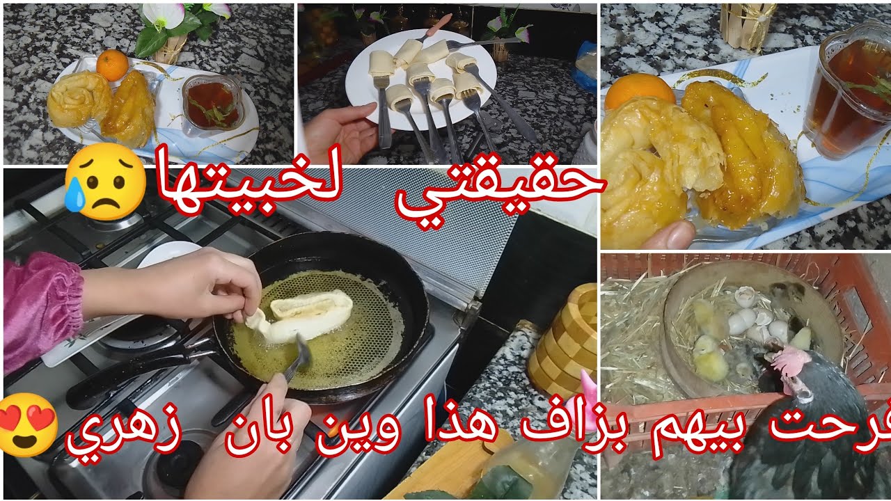 مع الصباح جاوني10ضياف😱اول مرة يجيني هذ العدد😅كيفاش استقبلتهم🤔خشخاس بأصولوا يجي مورق ويقرمش بمقادير..