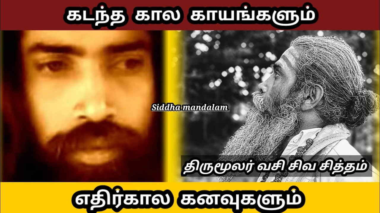 கடந்த கால காயங்களும் எதிர்கால கனவுகளும் 